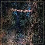 Eyelids,The Vinyl The Accidental Falls
