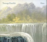 Teenage Fanclub CD HERE