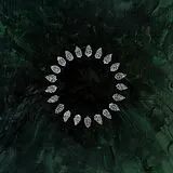 Esben And The Witch LP (analog) Hold Sacred