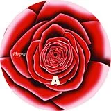 Sivert Höyem LP (analog) Roses Of Neurosis