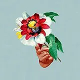 Maribou State LP (analog) Kingdoms In Colour