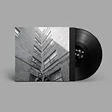 H31R LP (analog) Headspace