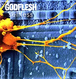 Godflesh Vinyl Selfless