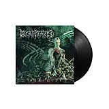 Decapitated LP (analog) Nihility(black Vinyl)