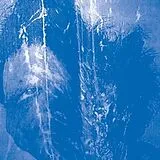 Secret Boyfriend Vinyl This Is Always Where You've Lied