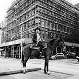 Drew Lustman Vinyl The Crystal Cowboy (Vinyl)
