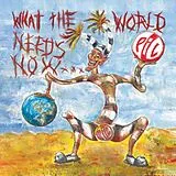 Public Image LTD Vinyl What The World Needs Now... (Vinyl)
