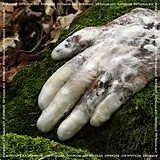 Antwood CD Virtuous.scr.