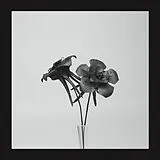 JLIN Maxi Single (analog) Dark Lotus