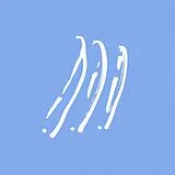 Body Boys Vinyl NO FACE