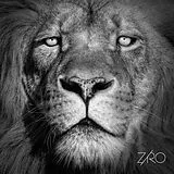 Ziro Vinyl Lionheart Ep