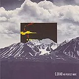 C. Djab Vinyl No Perfect Wave