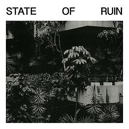 Silk Road Assassins Vinyl State Of Ruin