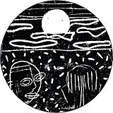 Duckett Maxi Single (analog) Gannets For Guano Ep