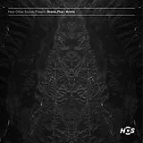 Drone Maxi Single (analog) Flux / Artic