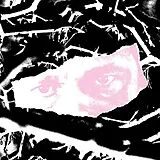 Biome Maxi Single (analog) Fargo Ep