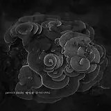 Yannick Dauby Vinyl (coral House) Penghu Experimental Sound (...)
