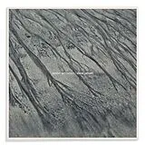 Steve Jansen CD Tender Extinction