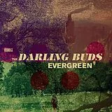 The Darling Buds EP (analog) Evergreen Ep
