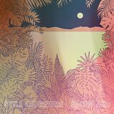 Still Corners Vinyl Slow Air