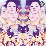 Magic Castles Vinyl Starflower (Vinyl)