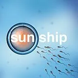 The Brian Jonestown Massacre EP (analog) The Sun Ship