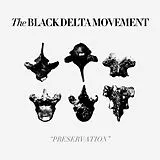 The Black Delta Movement Vinyl Preservation