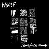 Woolf Vinyl posing/improvising