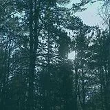 Ashbringer Vinyl Vacant