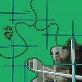 Ashtray Navigations Maxi Single (analog) To Make A Fool Ask, And You Are The First