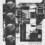 Bad Breeding Vinyl Divide