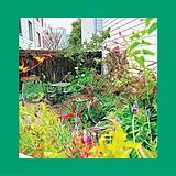 Pinks And Purples,The Reds LP (analog) Unwishing Well (white Vinyl)
