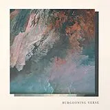 Ben & Skinner, Felix Chisholm Vinyl Burgeoning Verse