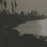 Acolytes Vinyl Rupture