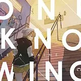 Lena Raine Vinyl Oneknowing