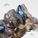 Sex Swing LP (analog) Type II (ltd. Grey/cream Swirl Vinyl)