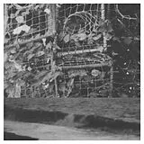 Cremation Lily Vinyl The Processes And Instruments Of Normal People