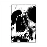 Negativa Vinyl 03