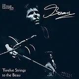 BEAU Vinyl Twelve Strings To The Bea