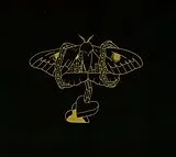 Gray,David LP (analog) Gold In A Brass Age