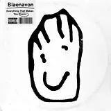 Blaenavon Vinyl Everything That Makes Me Happy