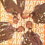 Everything Everything Vinyl Re-animator