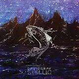 David Gray Vinyl Skellig