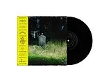 Frank Carter & The Rattlesnakes Vinyl Dark Rainbow
