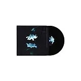 Wasia Project Vinyl Nocturne