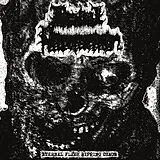 Bestial Putrefaction Vinyl Eternal Flash Ripping Chaos