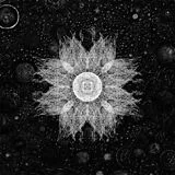 Somnolent Vinyl The Infernal Expanse