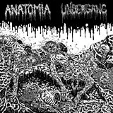 UNDERGANG, ANATOMIA LP (analog) Split Lp