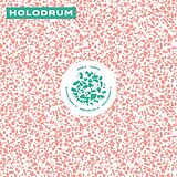 Holodrum Vinyl Holodrum