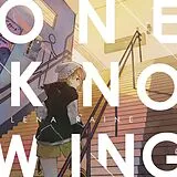 Lena Raine Vinyl Reknowing
